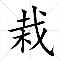 栽在|栽：栽的意思/造詞/解釋/注音